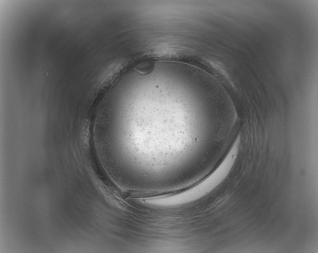 X0000063490495200601201313