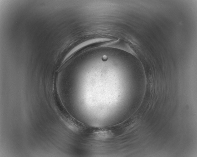 X0000063490499200601201313