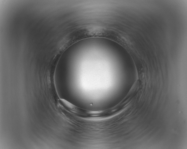 X0000063490508200601201313