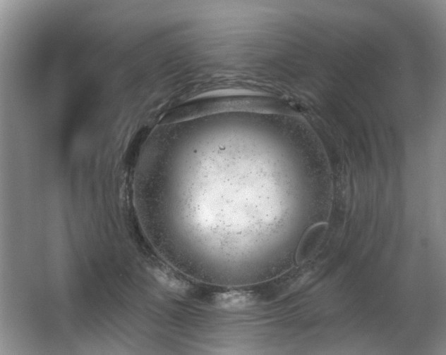 X0000063490511200601201313