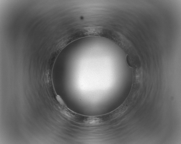 X0000063490514200601201313