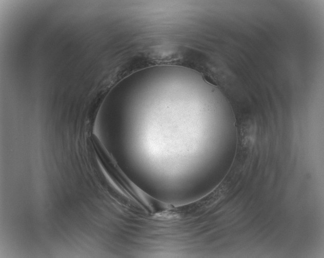 X0000063490515200601201313