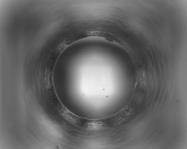 X0000063490525200601201313