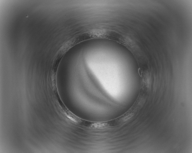 X0000063490526200601201313
