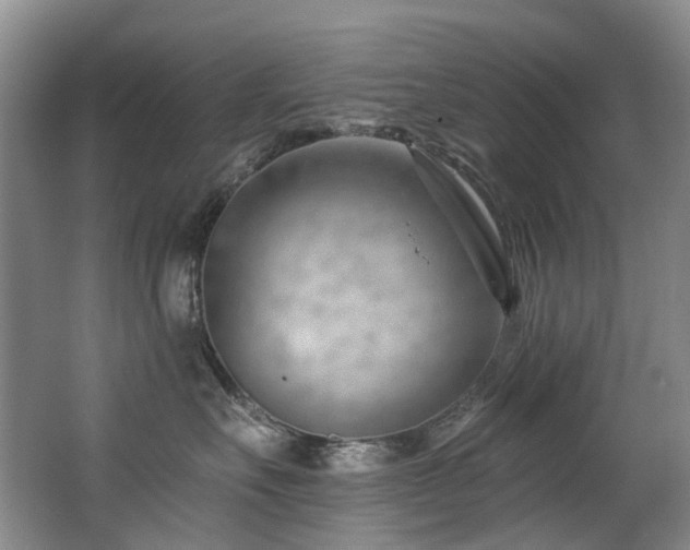 X0000063490527200601201313