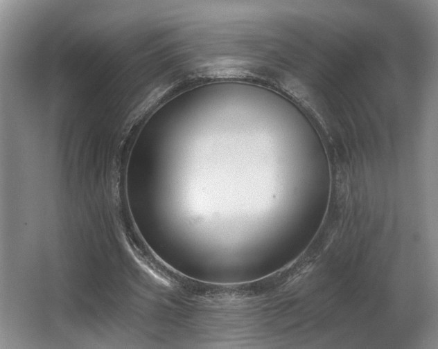 X0000063490533200601201312
