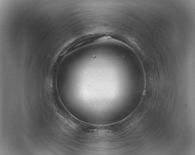 X0000063490539200601201312