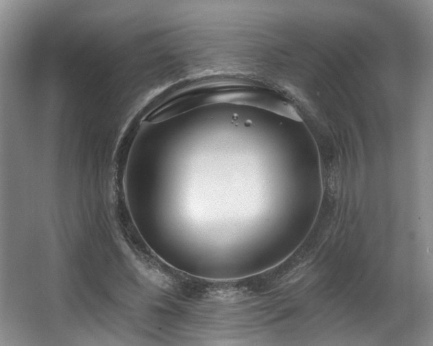 X0000063490540200601201312