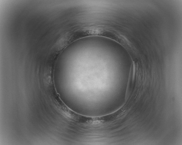 X0000063490553200601201312
