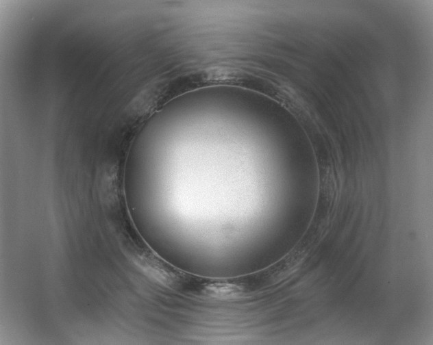 X0000063490557200601201312