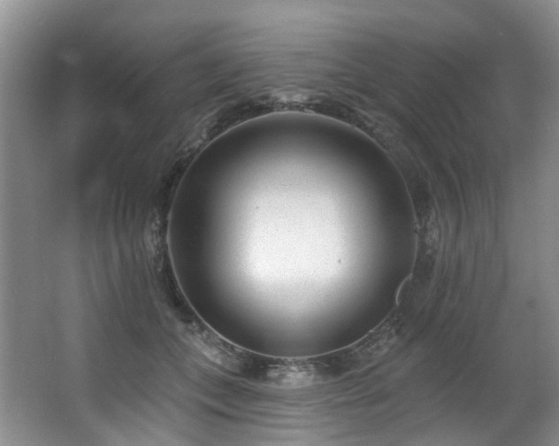 X0000063490559200601201312