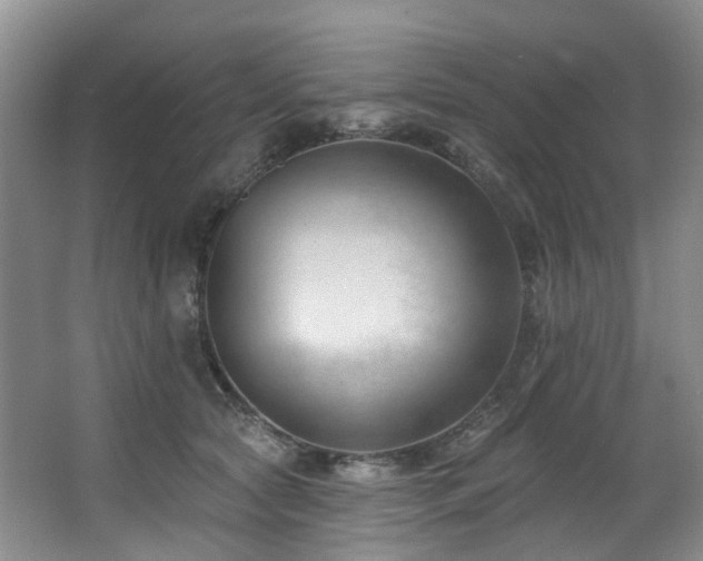 X0000063490561200601201312