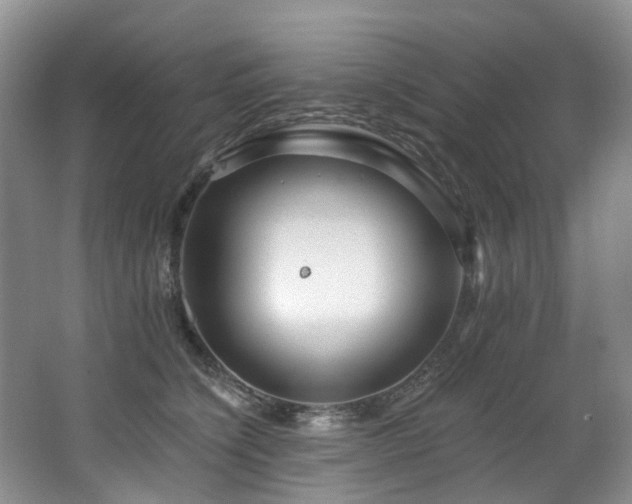 X0000063490564200601201312