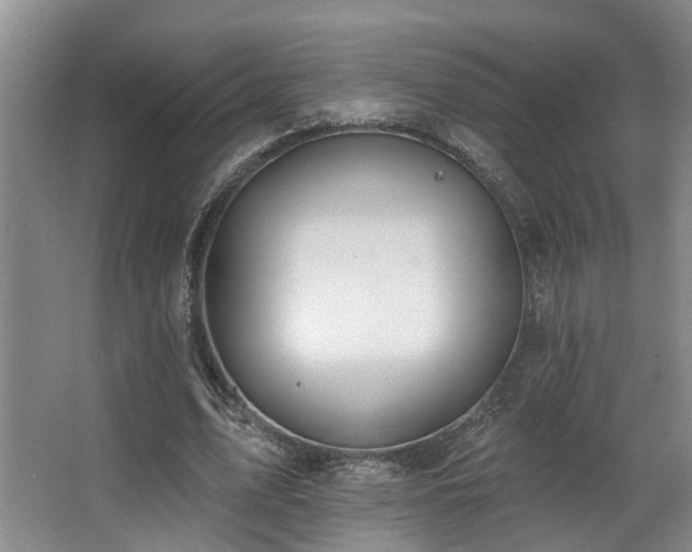 X0000063490583200601201312