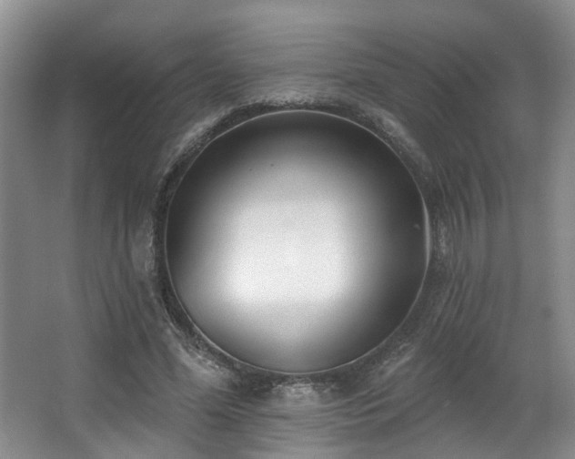 X0000063490588200601201311