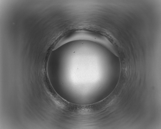 X0000063490593200601201311