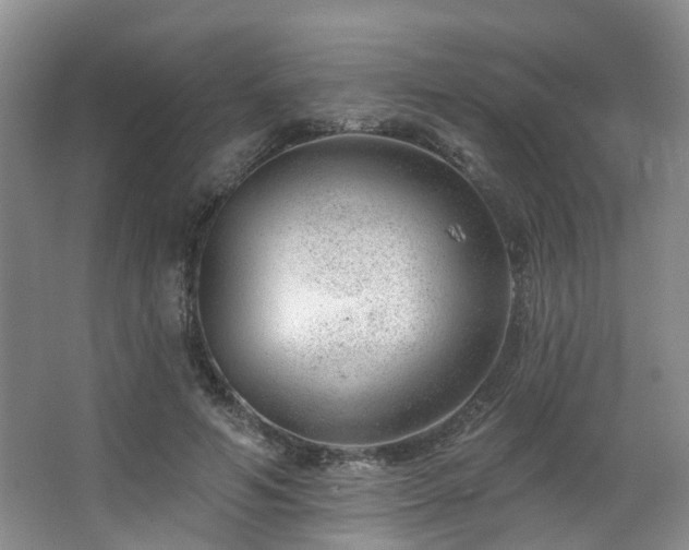 X0000063490594200601201311
