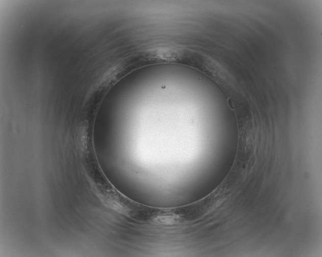 X0000063490595200601201311