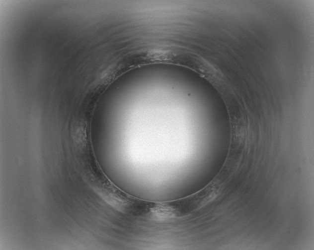 X0000063490603200601201311