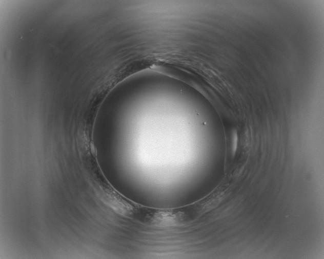 X0000063490613200601201311
