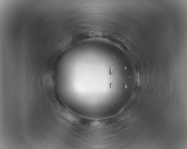 X0000063490616200601201311