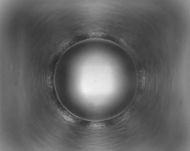 X0000063490619200601201311