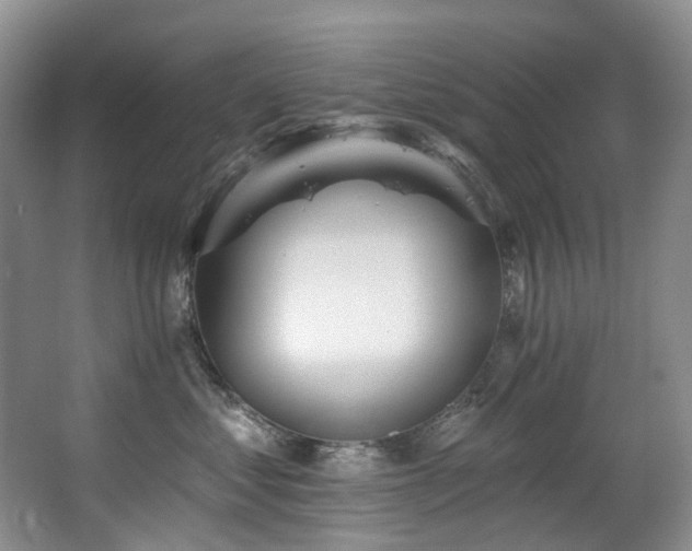 X0000063490621200601201311