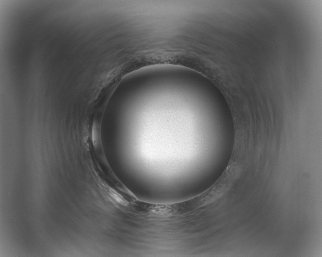 X0000063490624200601201311