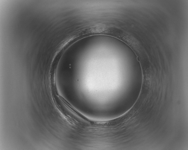 X0000063490626200601201310