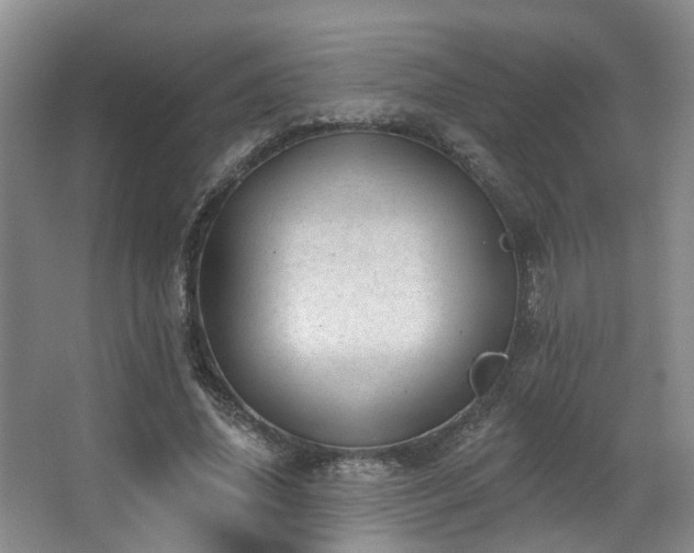 X0000063490636200601201310