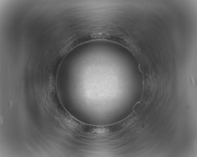 X0000063490659200601201311