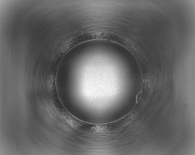 X0000063490660200601201311