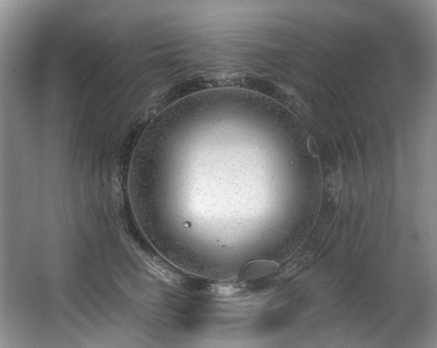 X0000063490662200601201311