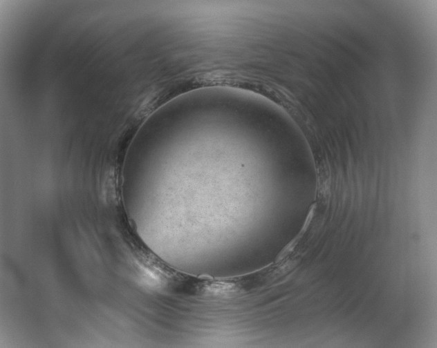 X0000063490669200601201311