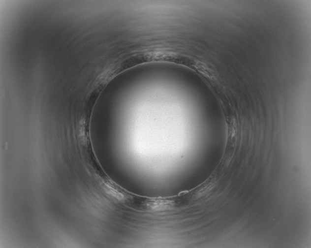 X0000063490670200601201311
