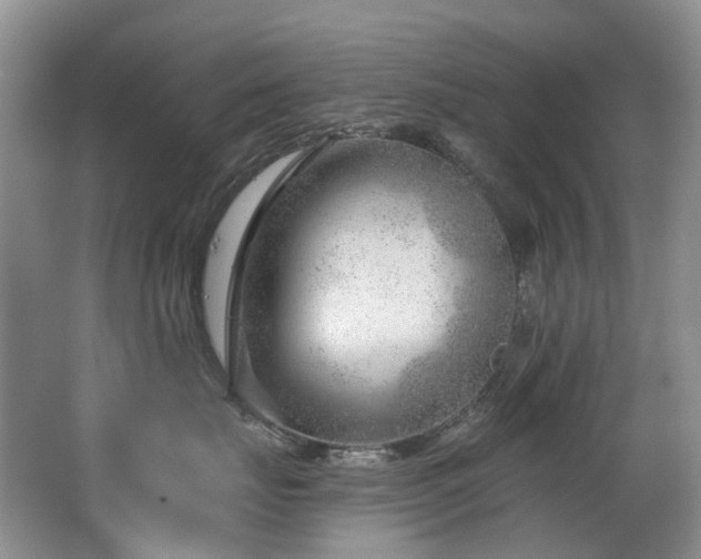 X0000063490671200601201311