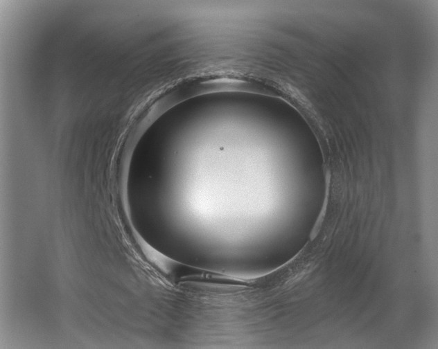 X0000063490673200601201310