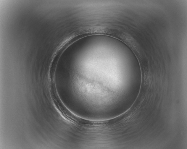 X0000063490674200601201310