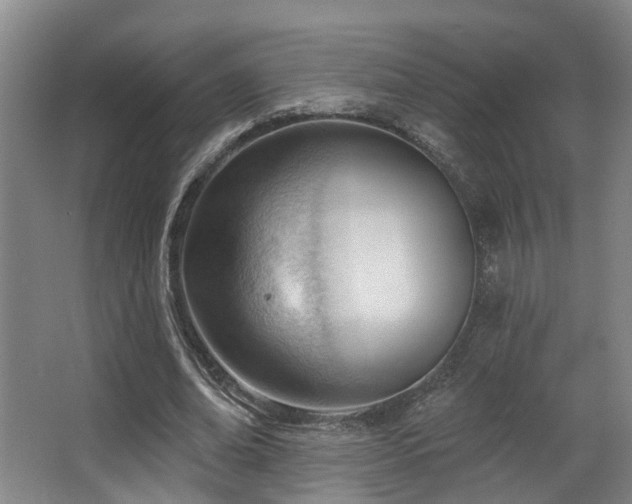 X0000063490678200601201310