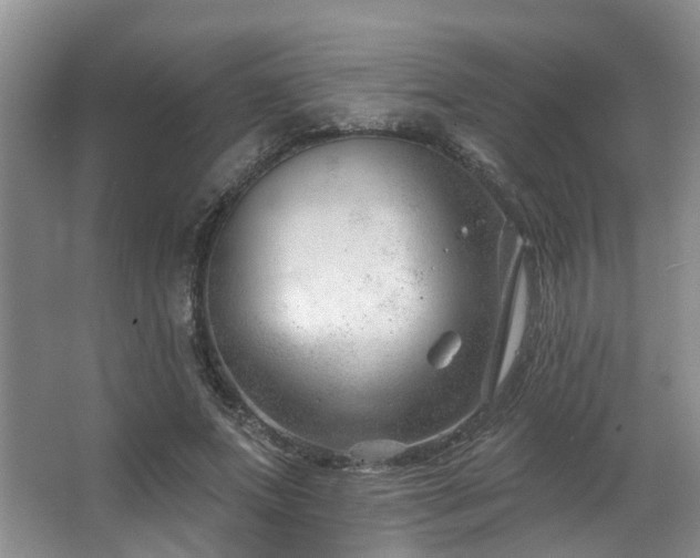 X0000063490687200601201310