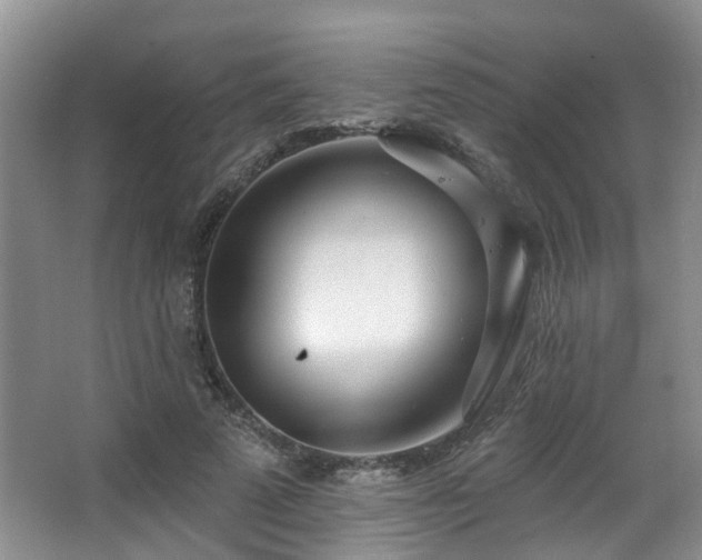 X0000063490689200601201310