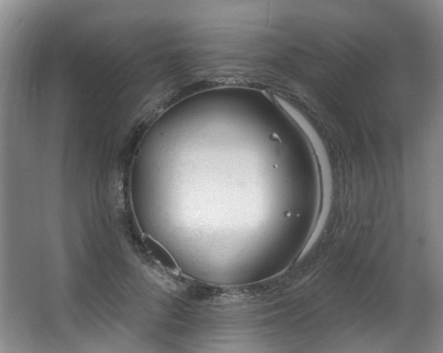 X0000063490696200601201310