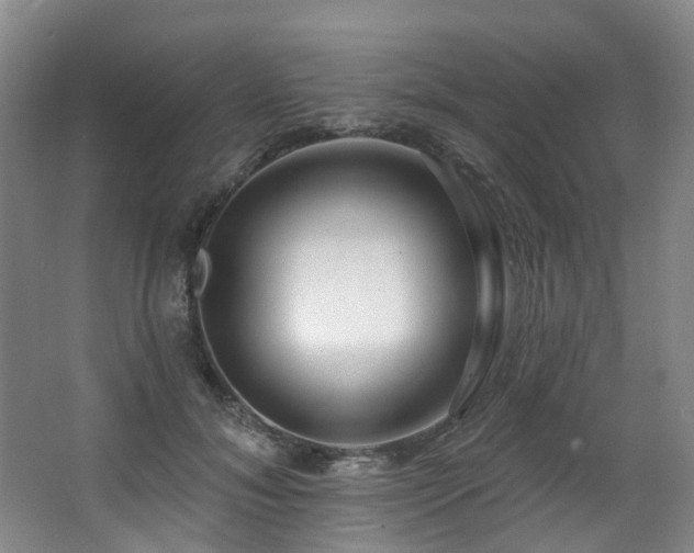 X0000063490700200601201310