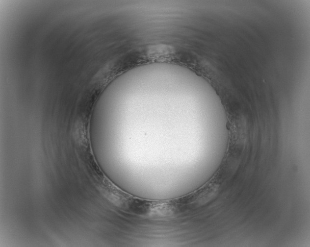 X0000063490705200601201309