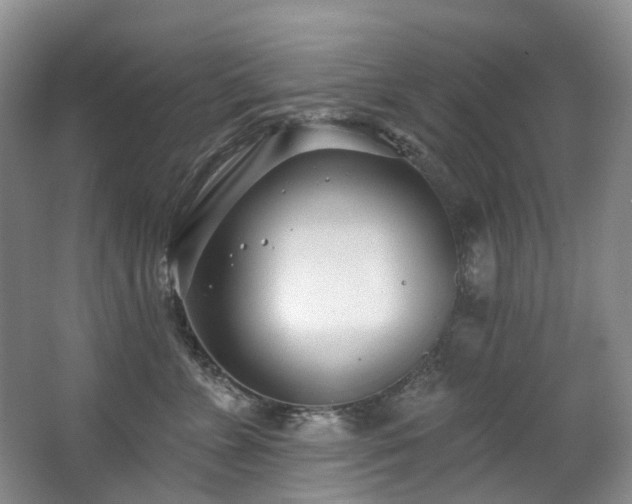 X0000063490715200601201309