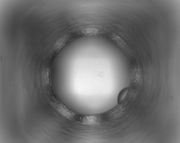 X0000063490717200601201309