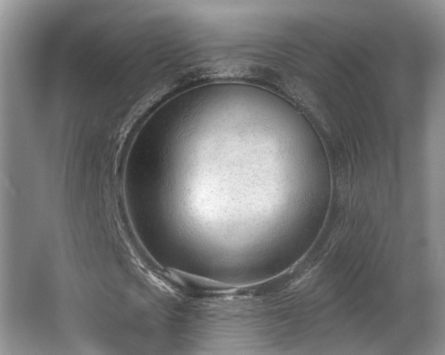 X0000063490721200601201308