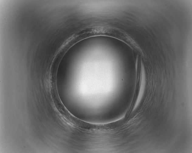 X0000063490722200601201308