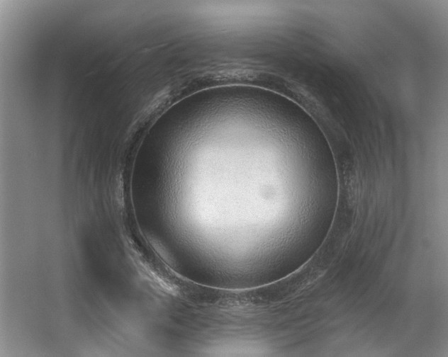 X0000063490729200601201309
