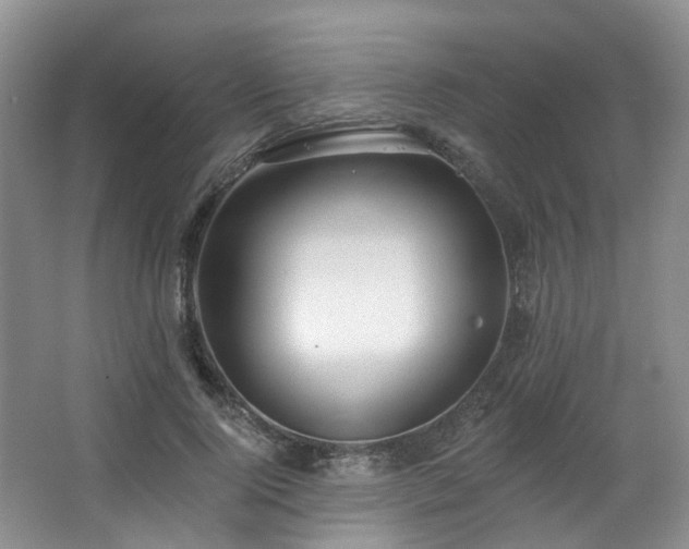 X0000063490740200601201309